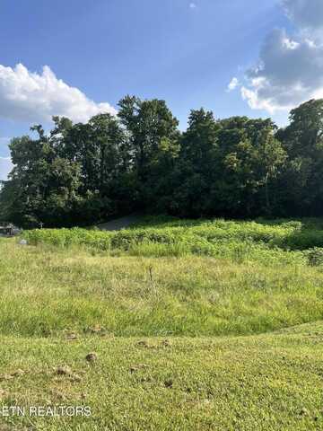 909 E Walden St, La Follette, TN 37766