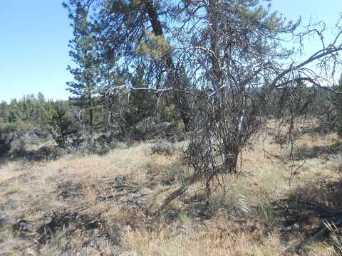 0 Ground Squirrel Drive, Bonanza, OR 97623
