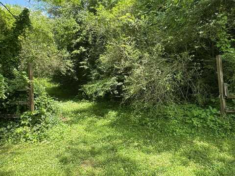 Bogard Road, Cosby, TN 37722