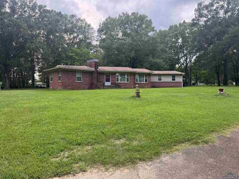 1641 Handy rd, Diana, TX 75640