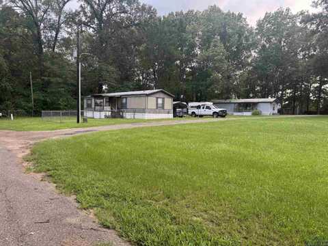 1615 Handy Rd, Diana, TX 75640