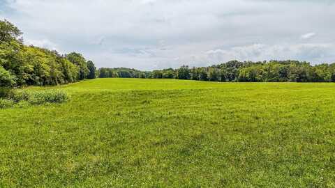 2245 BIG IVY, Savannah, TN 38372