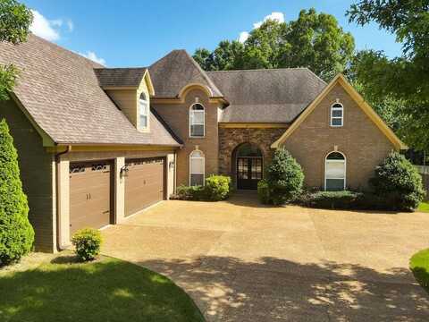 245 AMBER WAVES, Collierville, TN 38017