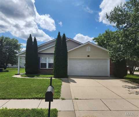 641 Fallen Timber Lane, Mascoutah, IL 62258