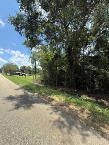 Sleepy Bear Road, Norman Park, GA 31771