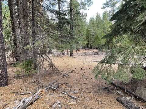 N. Overland Dr, Alturas, CA 96101