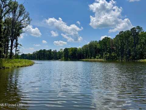Springwood Trail, Flora, MS 39071