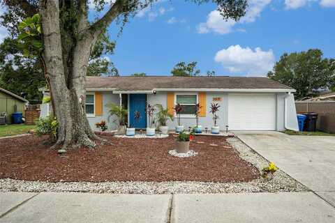 3612 PATINA DRIVE, TAMPA, FL 33619