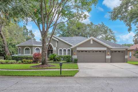 15206 MERLINPARK PLACE, LITHIA, FL 33547