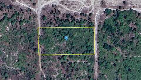 11801 GOODEN GROVE ROAD, FORT MYERS, FL 33913