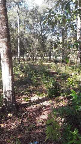 22733 NE 114TH AVENUE, FORT MC COY, FL 32134