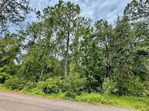 WESTPOINT DRIVE, WESLEY CHAPEL, FL 33544