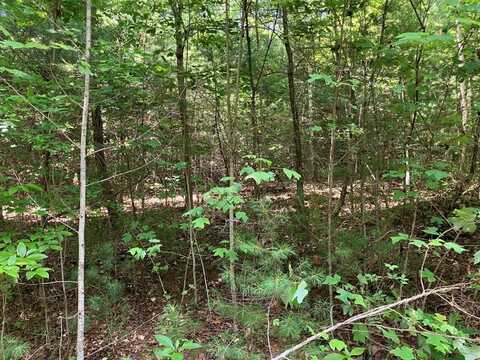 Lot 6&7 View Ridge Trail, MURPHY, NC 28906