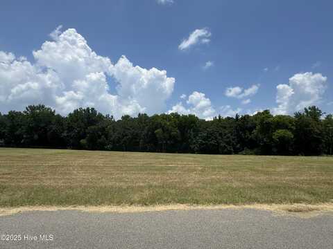 485 Perkins Road Road, Goldsboro, NC 27530