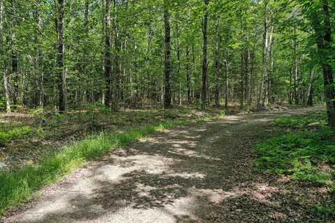 M5 L24 Goosepecker Ridge, Montville, ME 04941