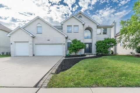 25042 Michele Drive, Plainfield, IL 60544