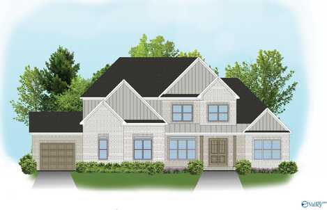 Josie Plan Madison Branch Boulevard, Madison, AL 35756