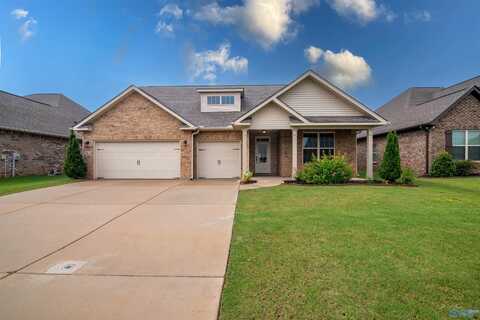 163 Willow Bank Circle, Decatur, AL 35603