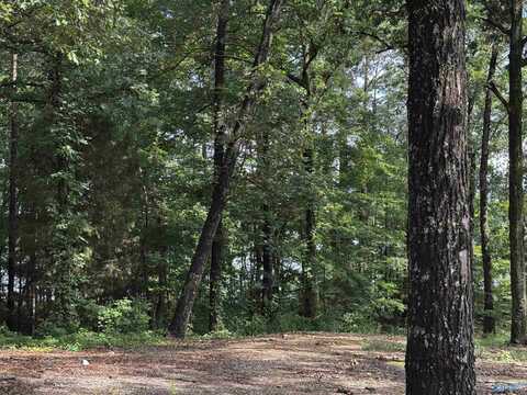 Lot 6 County Road 448, Centre, AL 35960