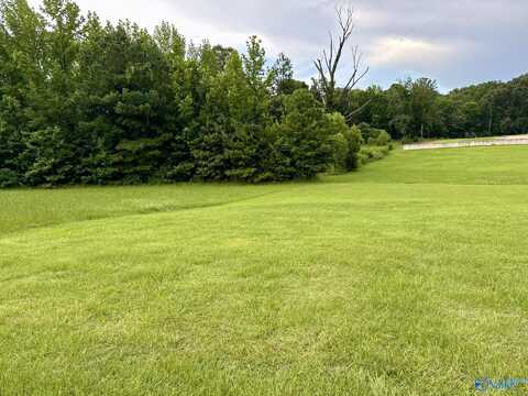 4250 Bennich Road, Decatur, AL 35603