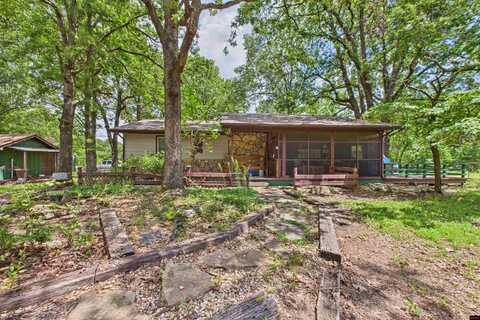 1040 CR 1193, Gassville, AR 72635