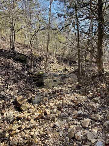 170614000000001 HWY 160, Gainesville, MO 65655
