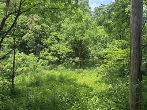 Lot 2 Jesse's Run Road, Fairview, WV 26570