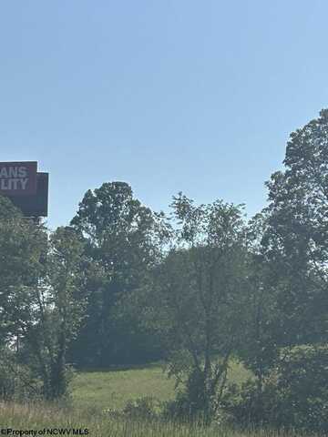 0 Mount Nebo Road, Buckhannon, WV 26201