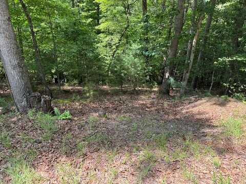 Lot 3 Honeysuckle Drive, Blairsville, GA 30512