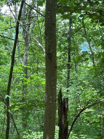 Ten Pointe Trail, Murphy, NC 28906