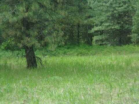 X12X HOAG RD, VALLEY, WA 99181