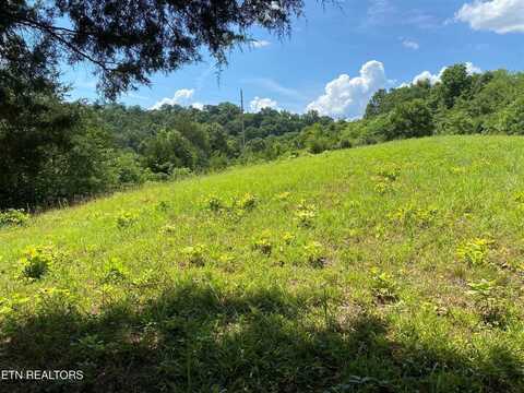 Walkers Church Rd, Bulls Gap, TN 37711