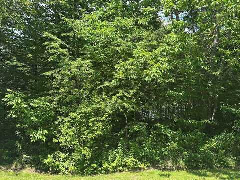 Lot #3 Peaslee Road Road, Hancock, ME 04640