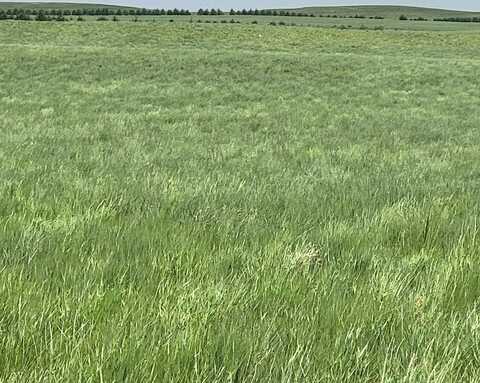 County Road 6, Kimball, NE 69145