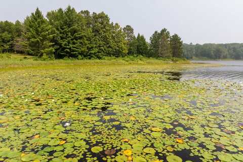 Lot 1 Turtle Lake Drive NW, Walker, MN 56484