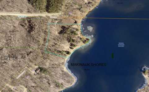 Lot 1 Turtle Lake Drive NW, Walker, MN 56484
