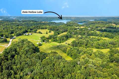 0 Willow Grove Hwy, Allons, TN 38541
