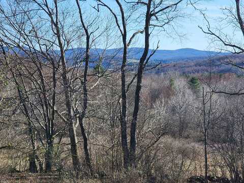 L1 Lang Road, Summit, NY 12175