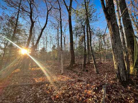 0 Oak Hill Rd, Lowman, NY 14861