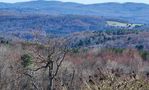 L2 Lang Road, Summit, NY 12175