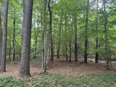 0 Lord's Creek Drive, Eden, MD 21822