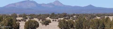 223 Picacho Butte Dr, Ash Fork, AZ 86320