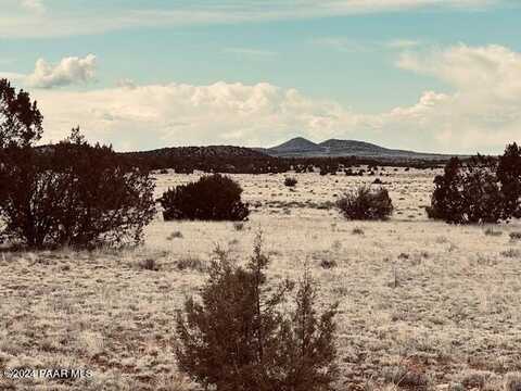 424nw Deliverance Road, Seligman, AZ 86337