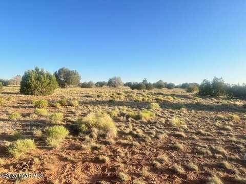 349sw Rocky Top Road, Seligman, AZ 86337