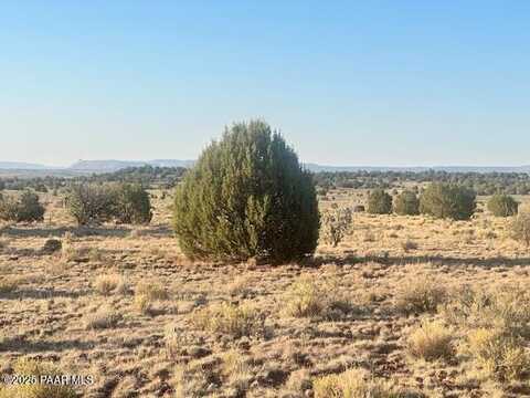 349ne Rocky Top Road, Seligman, AZ 86337