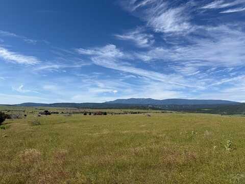 Good Pasture Dr lot: 14, Beulah, CO 81023