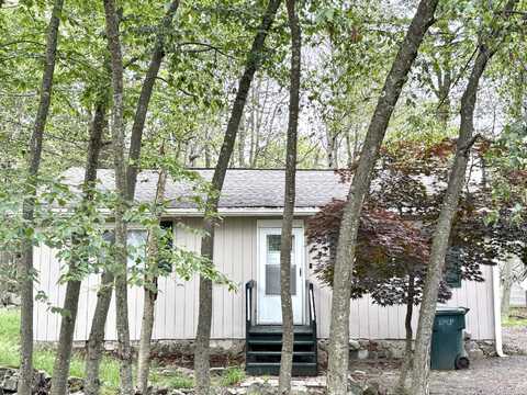 7273 Long Pine Drive, Tobyhanna, PA 18466