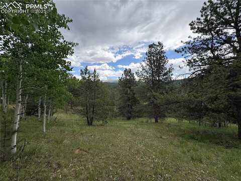 532 May Queen Drive, Cripple Creek, CO 80813