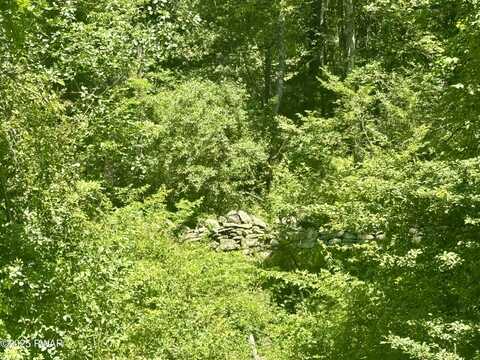 Owego Turnpike (LOT B), Honesdale, PA 18431