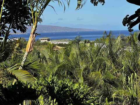 10 Wailea Ekolu Pl, Kihei, HI 96753